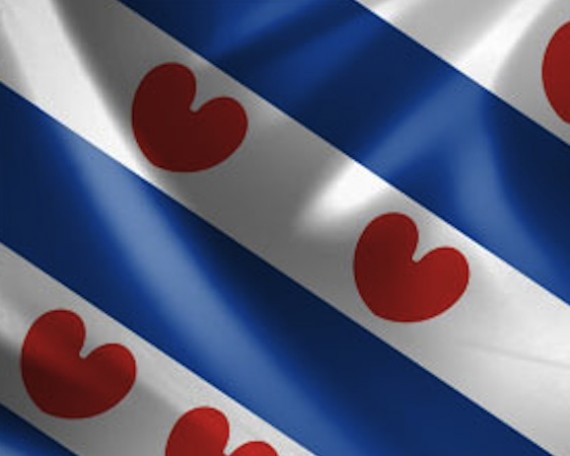 friese vlag